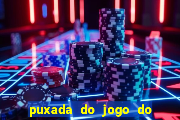 puxada do jogo do bicho da sueli